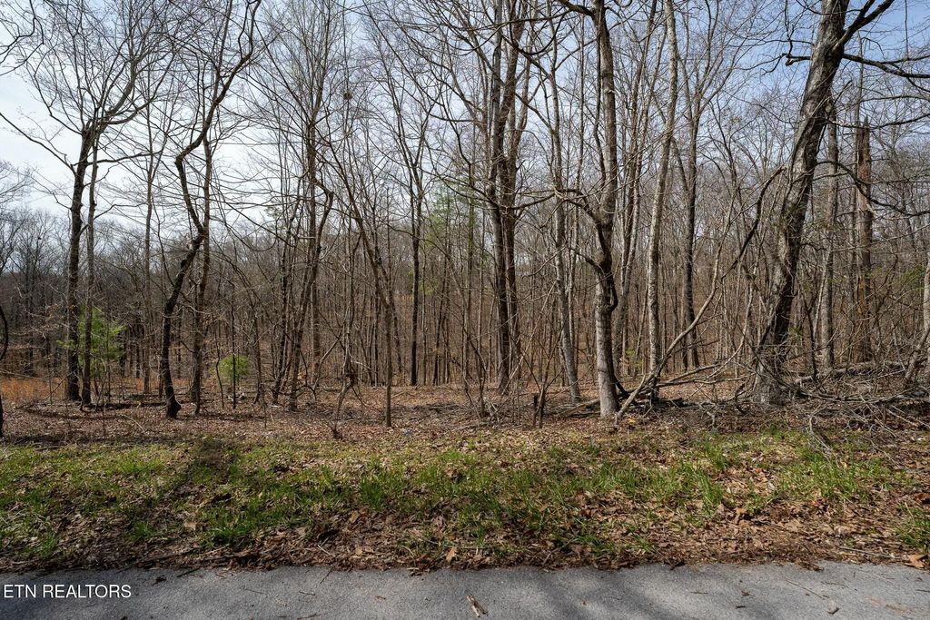 Photo of 235 Clear Springs Rd, Harriman, TN 37748 (MLS # 1294343)