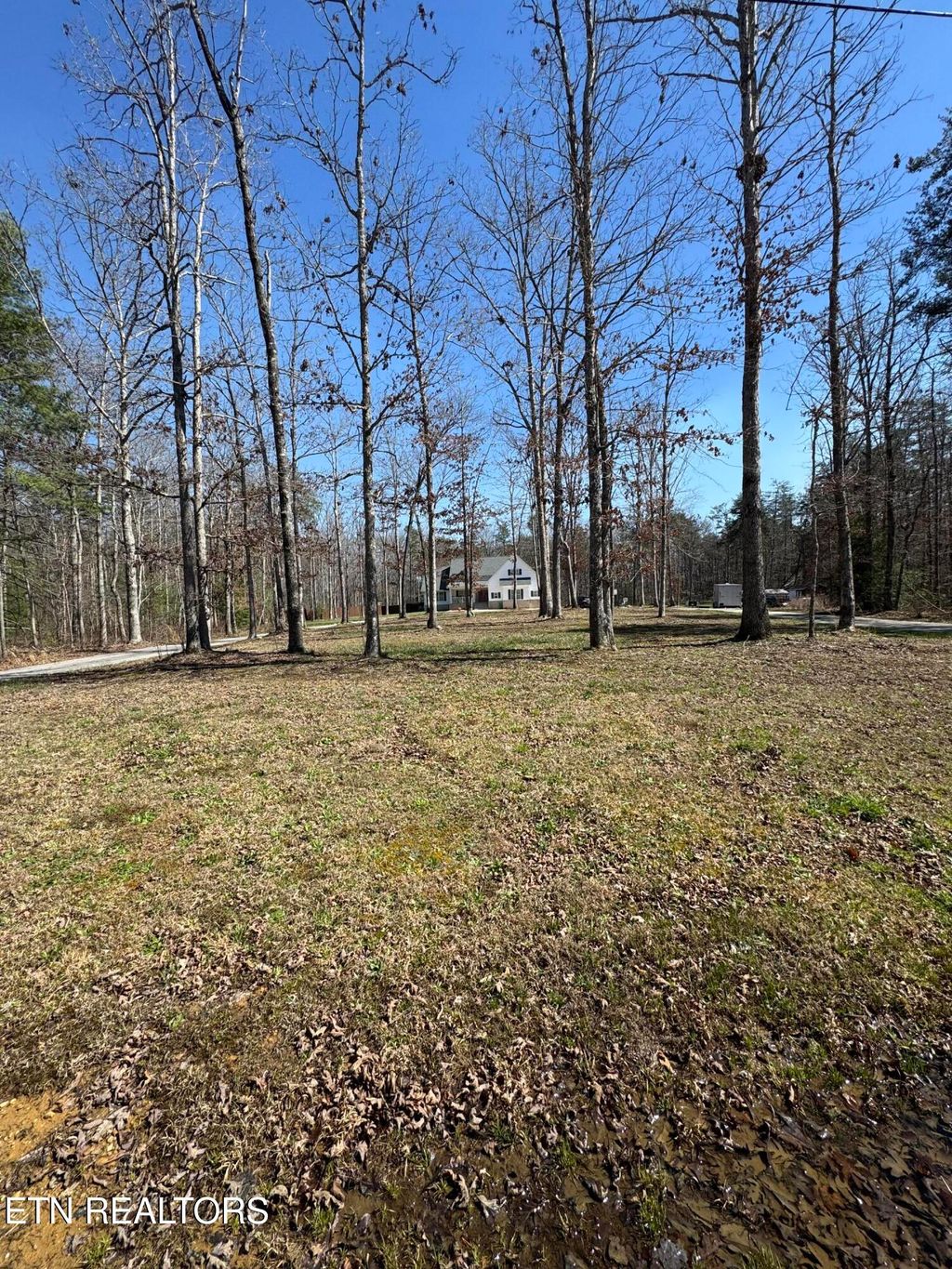 Photo of 841 Spearhead Circle, Clarkrange, TN 38553 (MLS # 1338790)