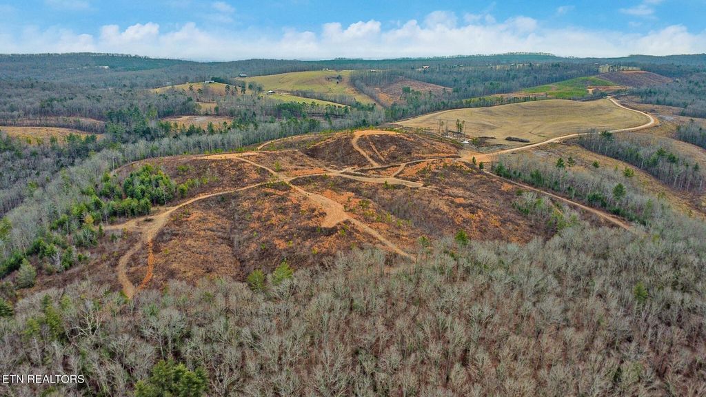 Photo of Possum Trot Rd. - Tract 1, Grandview, TN 37337 (MLS # 1326739)