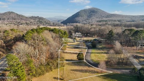 Photo of 105 Tadpole Lane, Benton, TN 37307 (MLS # 1328984)