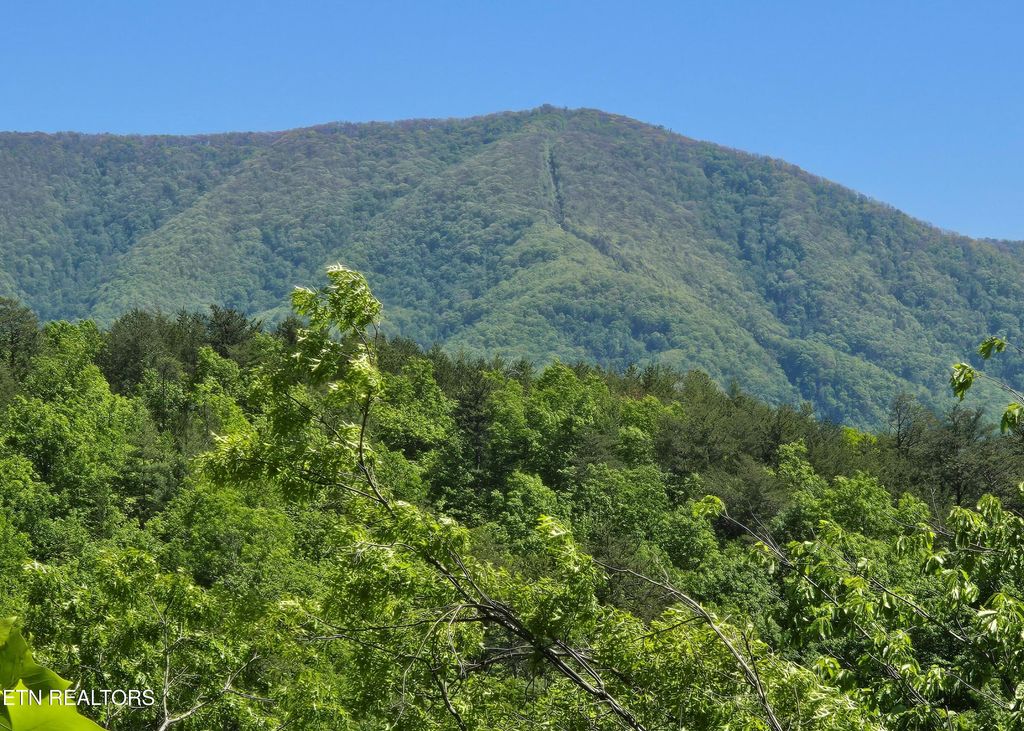 Photo of 2759 Hatcher Mountain Rd, Sevierville, TN 37862 (MLS # 1339684)