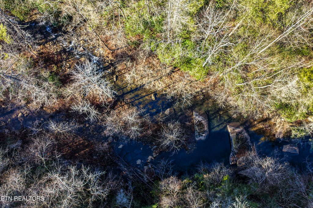Photo of 1305 Grievers Chapel Rd, Rockwood, TN 37854 (MLS # 1324410)