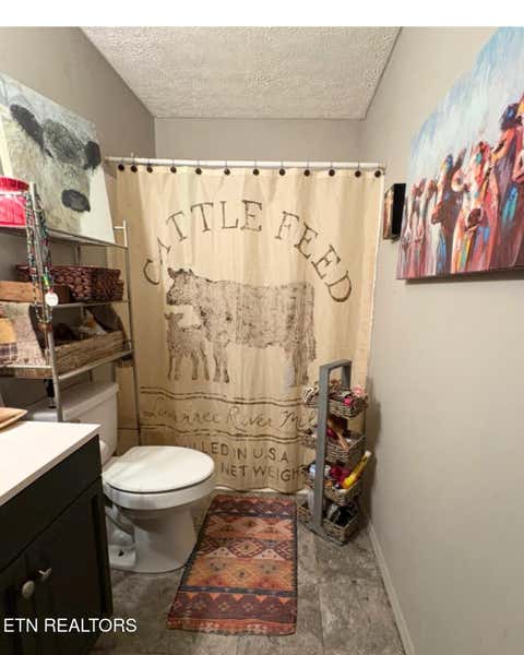 Tiny photo for 1674 Goodfield Rd, Decatur, TN 37322 (MLS # 1348787)