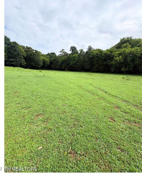 Tiny photo for 1674 Goodfield Rd, Decatur, TN 37322 (MLS # 1348787)