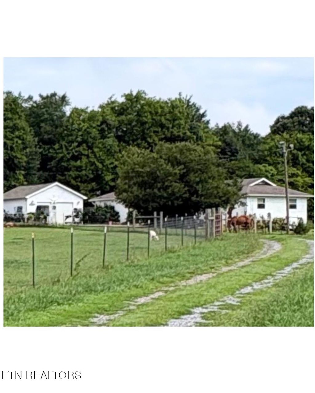 Photo of 1674 Goodfield Rd, Decatur, TN 37322 (MLS # 1348787)