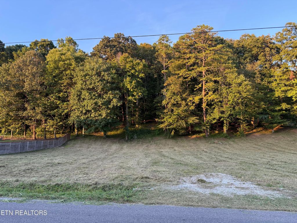 Photo of Hillvale rd., Andersonville, TN 37705 (MLS # 1315000)