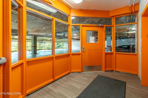 Tiny photo for 1700 Clinch Ave #502, Knoxville, TN 37916 (MLS # 1326306)