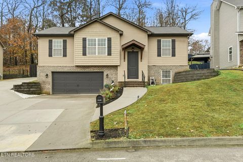7819 Elkton Lane Powell TN 37849