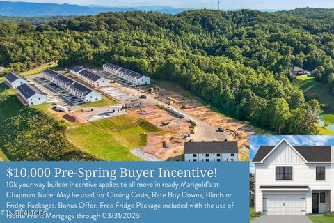 8826 Chapman Trace Way Knoxville TN 37920