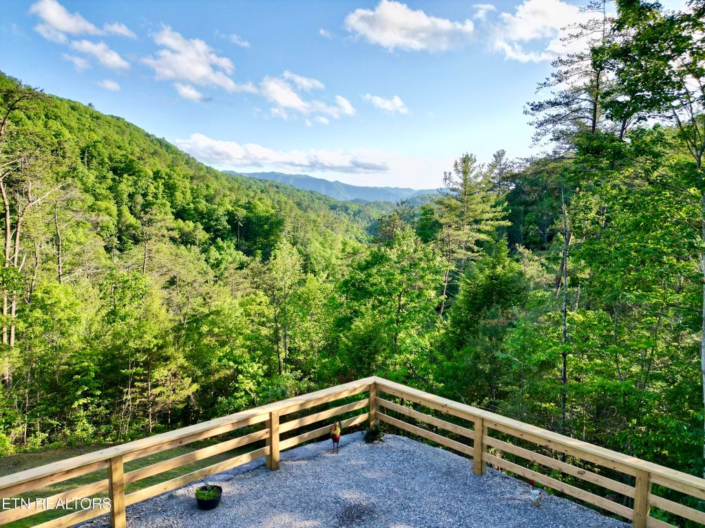 Photo of 1233 Carrs Creek Rd, Townsend, TN 37882 (MLS # 1263031)