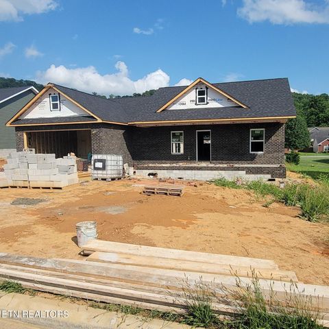 214 Mossy Rock Rd Clinton TN 37716