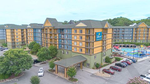 225 Collier Drive 2311 Sevierville TN 37862