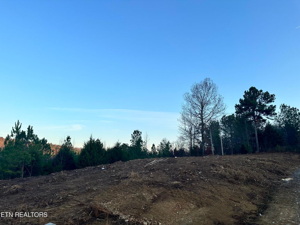Photo of 1101 Redman Rd, Decatur, TN 37322 (MLS # 1246667)
