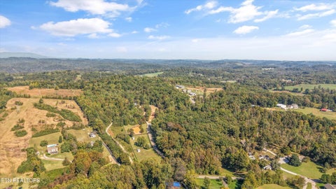 Tiny photo for 411 Travellers Way, Lenoir City, TN 37771 (MLS # 1359999)