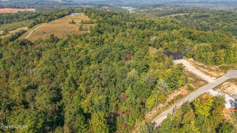 Tiny photo for 411 Travellers Way, Lenoir City, TN 37771 (MLS # 1359999)