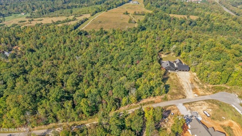 Tiny photo for 411 Travellers Way, Lenoir City, TN 37771 (MLS # 1359999)