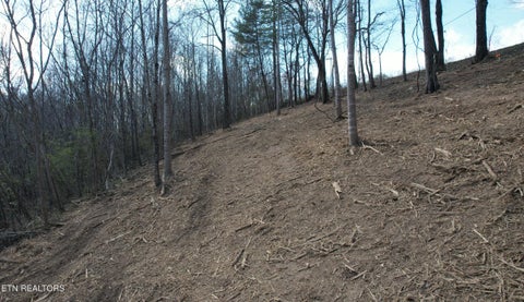 Tiny photo for 4160 Demory Rd, LaFollette, TN 37766 (MLS # 1343948)