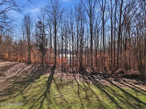 Photo of 141 Red Cloud Lane, Rutledge, TN 37861 (MLS # 1329181)