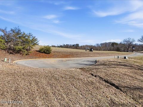 Tiny photo for 141 Red Cloud Lane, Rutledge, TN 37861 (MLS # 1329181)