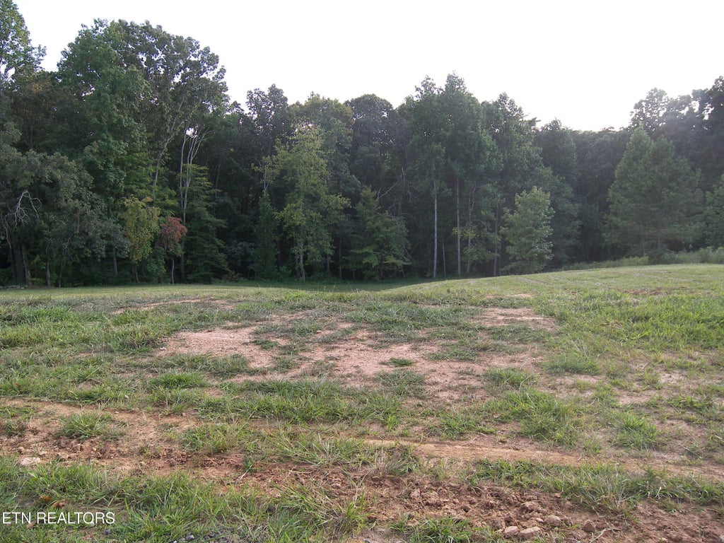 Photo of 250 Wells Rd, Powell, TN 37849 (MLS # 1353709)