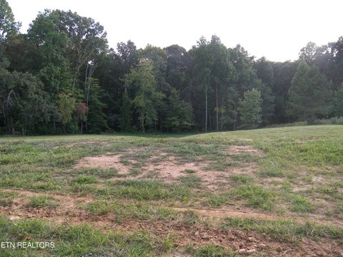 Tiny photo for 250 Wells Rd, Powell, TN 37849 (MLS # 1353709)