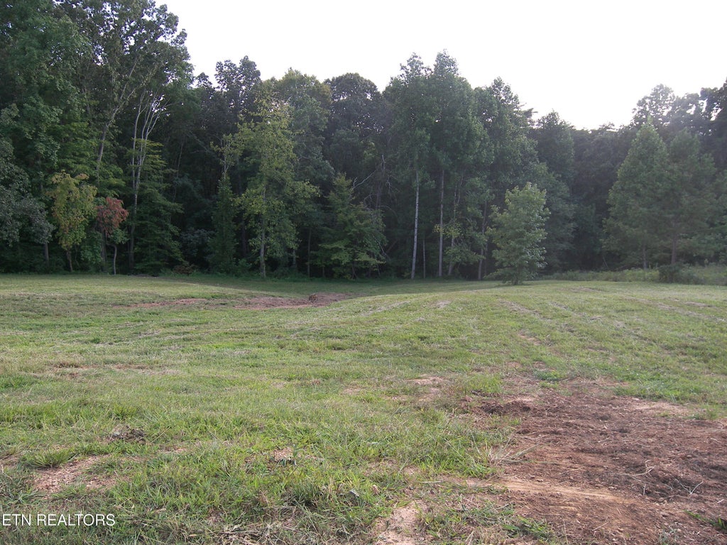 Photo of 250 Wells Rd, Powell, TN 37849 (MLS # 1353709)