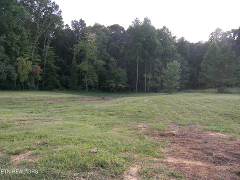 Tiny photo for 250 Wells Rd, Powell, TN 37849 (MLS # 1353709)
