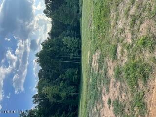 Tiny photo for 250 Wells Rd, Powell, TN 37849 (MLS # 1353709)