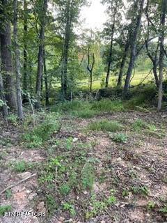 Tiny photo for 250 Wells Rd, Powell, TN 37849 (MLS # 1353709)