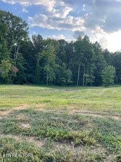Tiny photo for 250 Wells Rd, Powell, TN 37849 (MLS # 1353709)