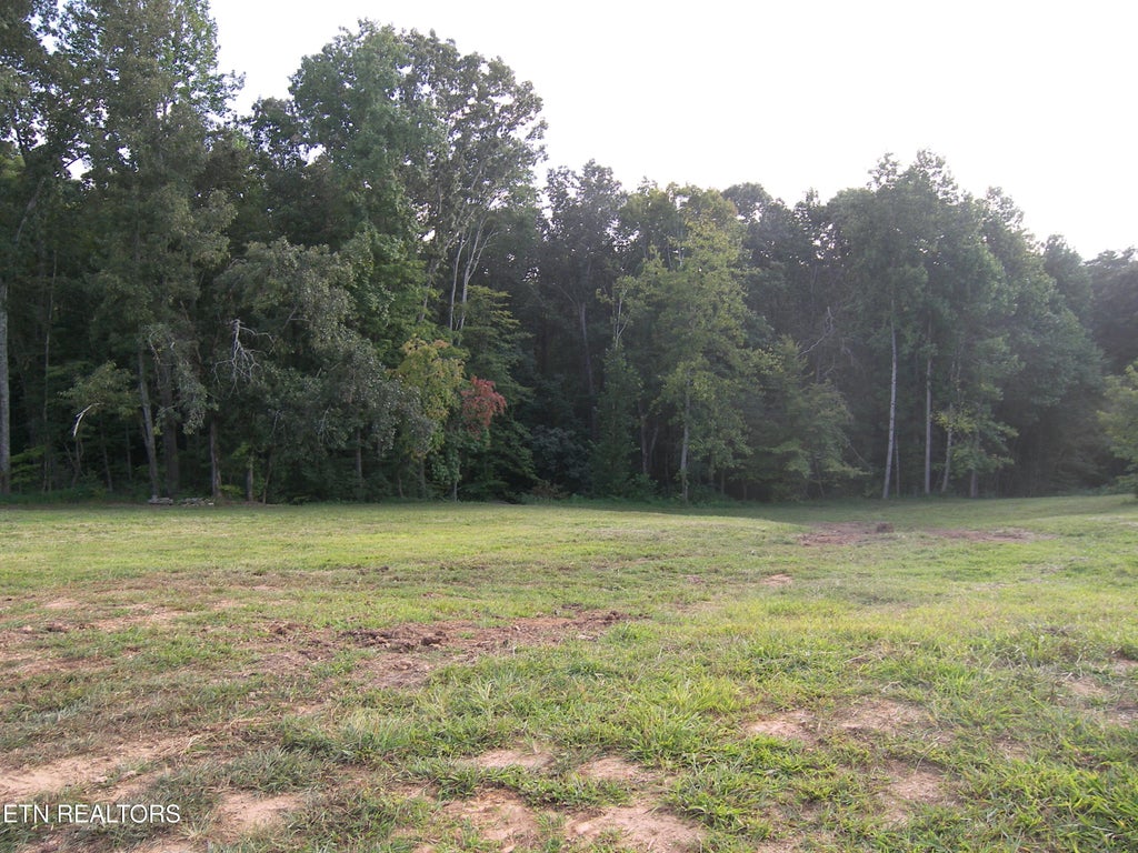 Photo of 250 Wells Rd, Powell, TN 37849 (MLS # 1353709)