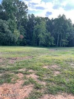 Tiny photo for 250 Wells Rd, Powell, TN 37849 (MLS # 1353709)