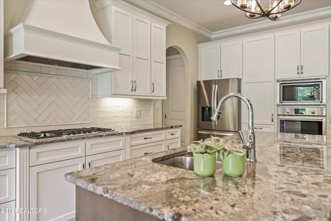 Tiny photo for 501 Lone Willow Drive, Knoxville, TN 37934 (MLS # 1340467)