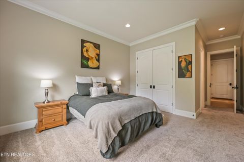 Tiny photo for 501 Lone Willow Drive, Knoxville, TN 37934 (MLS # 1340467)