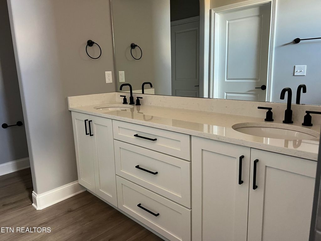 Photo of 178 River Birch Drive, Lenoir City, TN 37771 (MLS # 1332209)