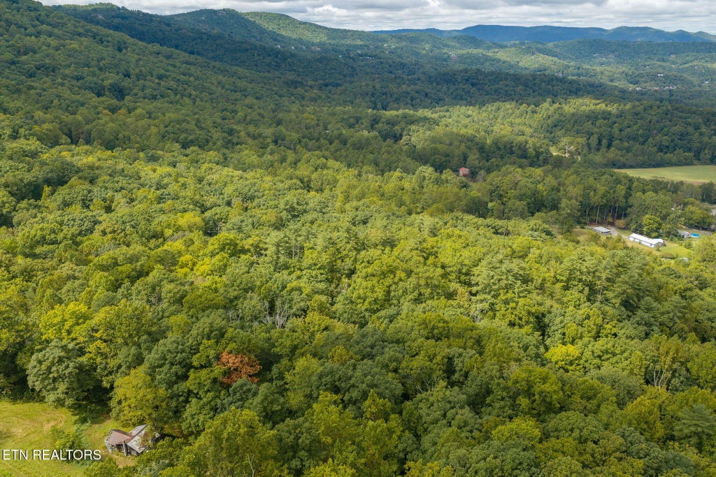 Photo of 165 Lail Lane, Townsend, TN 37882 (MLS # 1356775)