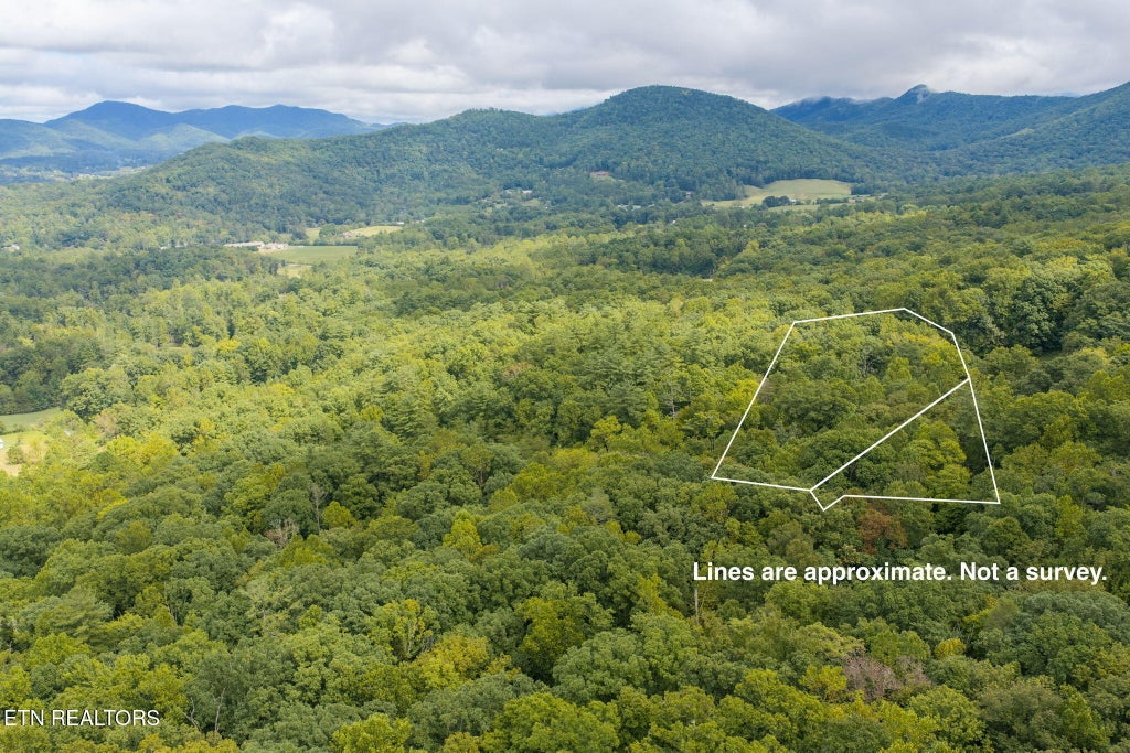 Photo of 165 Lail Lane, Townsend, TN 37882 (MLS # 1356775)
