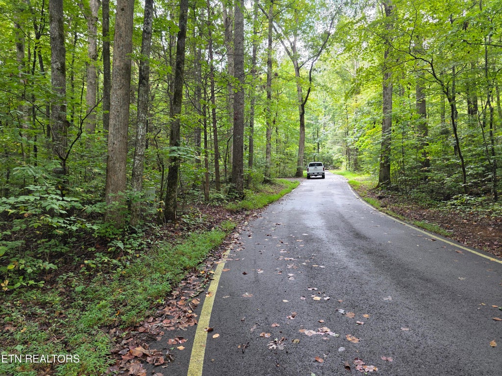 Photo of 165 Lail Lane, Townsend, TN 37882 (MLS # 1356775)