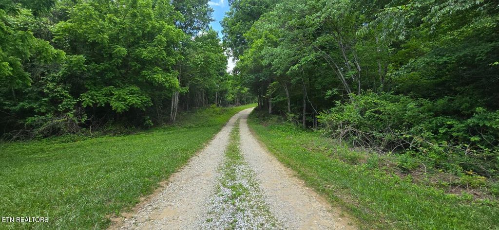 Photo of 0 Sheep Ranch Rd, Oneida, TN 37841 (MLS # 1342262)