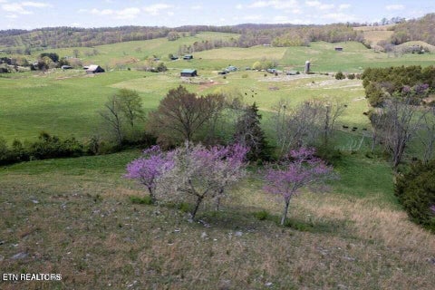 Tiny photo for Little Sycamore Rd, Tazewell, TN 37879 (MLS # 1360294)