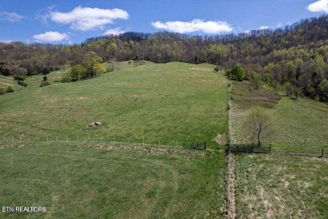 Tiny photo for Little Sycamore Rd, Tazewell, TN 37879 (MLS # 1360294)