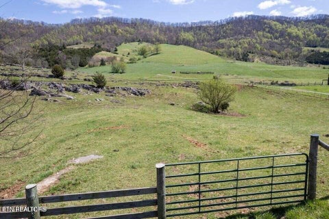 Tiny photo for Little Sycamore Rd, Tazewell, TN 37879 (MLS # 1360294)