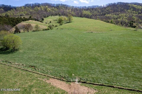 Tiny photo for Little Sycamore Rd, Tazewell, TN 37879 (MLS # 1360294)