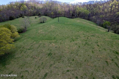 Tiny photo for Little Sycamore Rd, Tazewell, TN 37879 (MLS # 1360294)