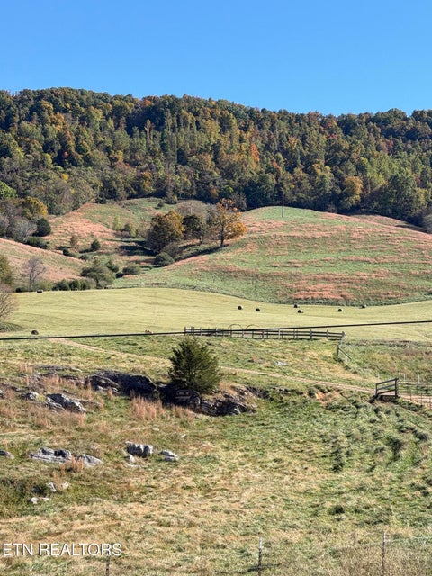 Photo of Little Sycamore Rd, Tazewell, TN 37879 (MLS # 1360294)