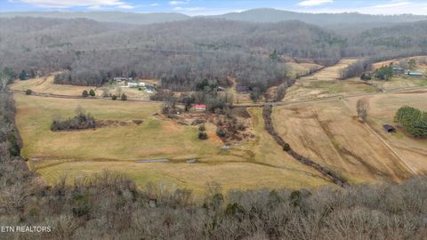 Tiny photo for 1201 Laurel Bluff Rd, Kingston, TN 37763 (MLS # 1330075)