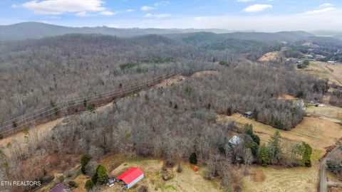 Tiny photo for 1201 Laurel Bluff Rd, Kingston, TN 37763 (MLS # 1330075)