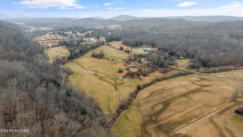 Tiny photo for 1201 Laurel Bluff Rd, Kingston, TN 37763 (MLS # 1330075)