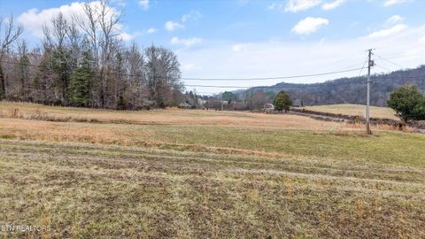 Tiny photo for 1201 Laurel Bluff Rd, Kingston, TN 37763 (MLS # 1330075)