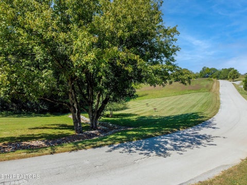 Tiny photo for Marble Bluff, Kingston, TN 37763 (MLS # 1355425)